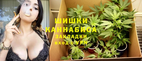 ГАЛЛЮЦИНОГЕННЫЕ ГРИБЫ Алексеевка