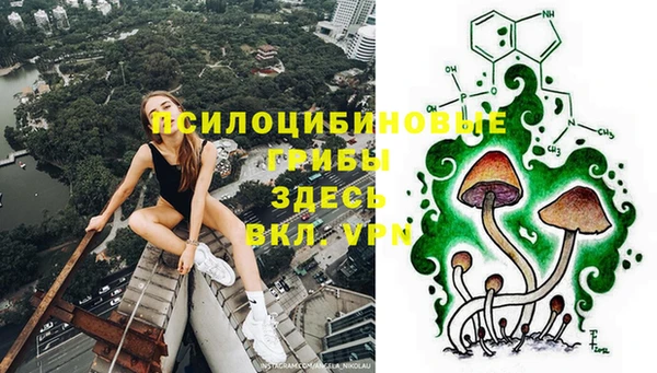 ешки Алексин